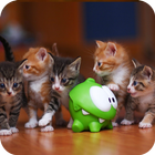 Theme with cats C Launcher أيقونة