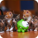 APK Theme with cats C Launcher