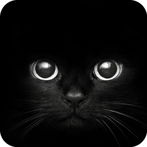 Black Cat eyes Theme CLauncher