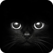 Black Cat eyes Theme CLauncher