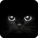 Black Cat eyes Theme CLauncher APK
