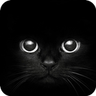 Black Cat eyes Theme CLauncher آئیکن