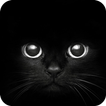 Tema gato: Ojos de gato negro