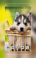 Puppy poster