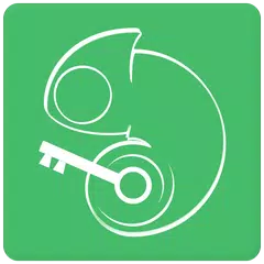 Icy World: App Lock Theme APK download