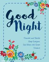 Sweet Good Night Wishes and Quotes Affiche