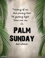 Palm Sunday Quotes & Wishes capture d'écran 2