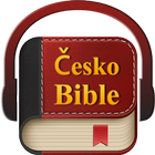 Česká Bible-icoon