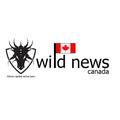 WILD NEWS CANADA