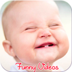 Best Funny Videos HD