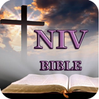 Bible NIV icône