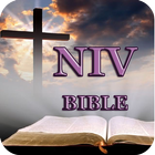 Bible NIV 아이콘