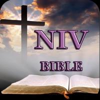 Bible NIV capture d'écran 3