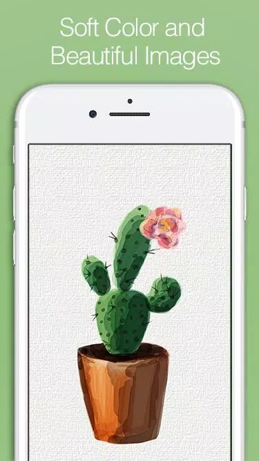 Soothing Cactus Wallpaper HD APK for Android Download Soothing Cactus Wallpaper HD APK for Android Download