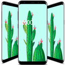 Cactus Wallpaper HD APK