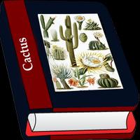 Cactus Affiche