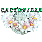 Cactofilia icon