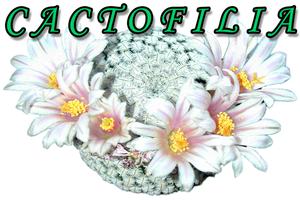 Cactofilia-poster