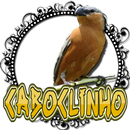 Caboclinho DO RÉ MI canto clássico APK