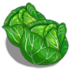 Irish Cabbage Lite-icoon
