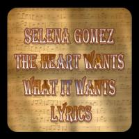 Selena Gomez The Heart Wants What It Wants Lyrics poster