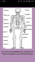 Manual radiologia 2 Affiche