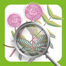 Invasive Species ID Guide APK