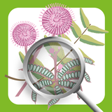 ikon Invasive Species ID Guide