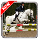 Horse Jump Show APK
