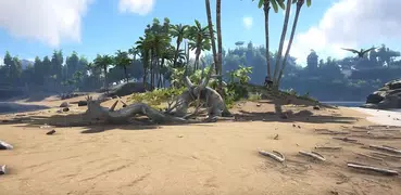 Ark Survival Evolved Tips