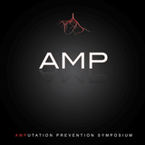 AMP 2012 icône