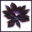 Black lotus Magic the Gatherer APK