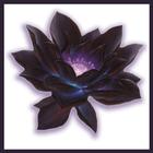 Black lotus icon