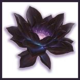 Black lotus Magic the Gatherer