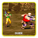 Guide for Cadillac Dinosaurs 2 aplikacja