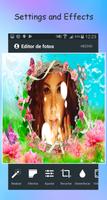 Butterfly Photo Editor poster