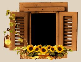 Beautiful Fall Photo Frames screenshot 3
