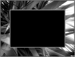 Blanc et noir Cadres photo capture d'écran 2
