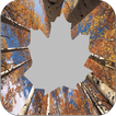 Golden Autumn Photo Frames