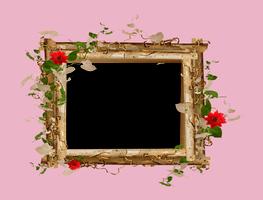 Lovely Flowers Photo Frames 海报