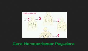 برنامه‌نما Cara Memperbesar Payudara عکس از صفحه