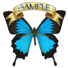 Butterfly, Butterfly (sample) simgesi