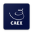 APK CAEX