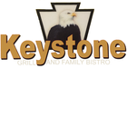 Keystone icône