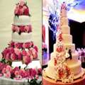 Cake Decorating guide