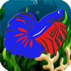 Cupang Fish Adventure icône