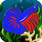 Cupang Fish Adventure icon