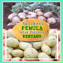 Trik Pemula Budidaya Kentang APK
