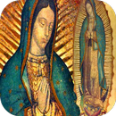 La Guadalupana - Virgen de Guadalupe APK