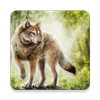 آیکون‌ 1000 Wolf Wallpapers